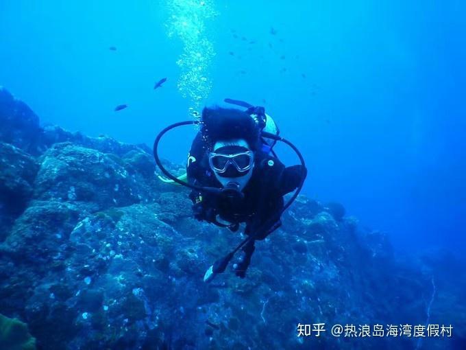 途虎养车发布2024加盟政策,下沉市场,开店成本直降15万元